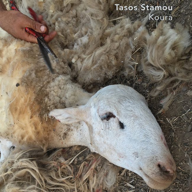Tasos Stamou Koura