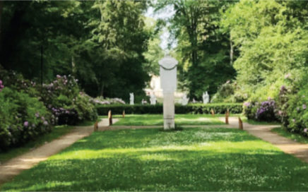 Coen Oscar Polack - Haarlemmerhout